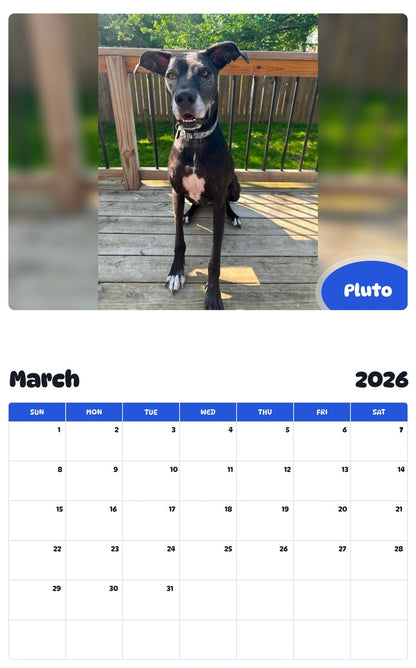 November 2025 - October 2026 Pluto - Pawidols Pet Calendar