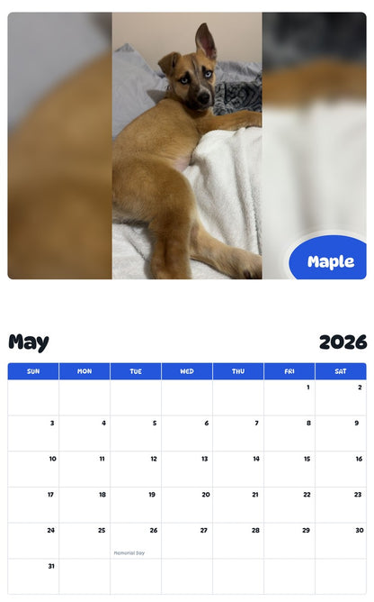 2026 - 2027 Maple - Pawidols Pet Calendar