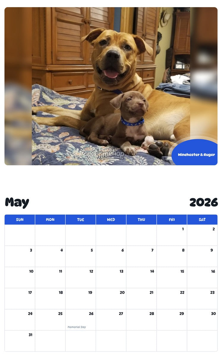 2026 - 2027 Winchester & Ruger - Pawidols Pet Calendar