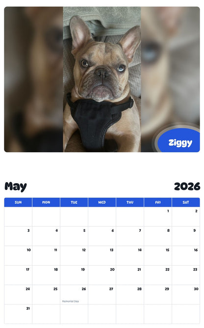 2026 - 2027 Ziggy - Pawidols Pet Calendar