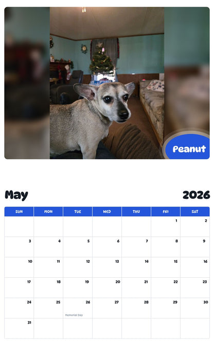 2026 - 2027 Peanut - Pawidols Pet Calendar