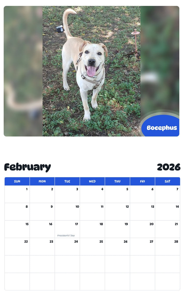 October 2025 - September 2026 Bocephus - Pawidols Pet Calendar