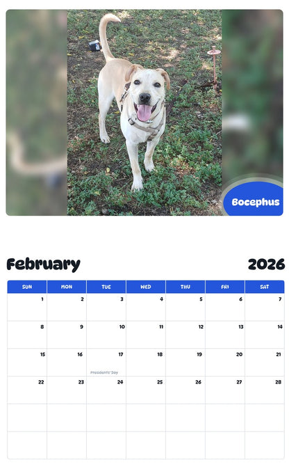 October 2025 - September 2026 Bocephus - Pawidols Pet Calendar