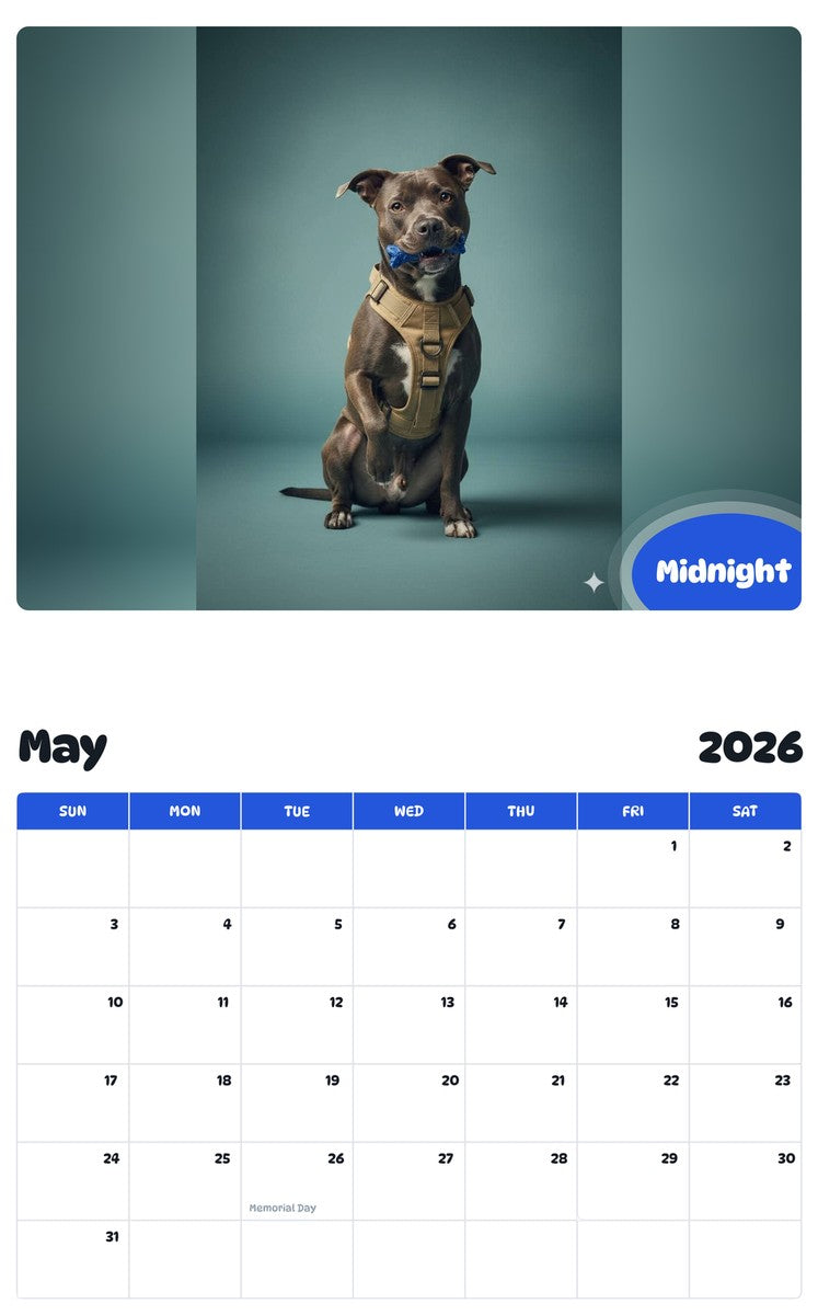 2026 - 2027 Midnight - Pawidols Pet Calendar