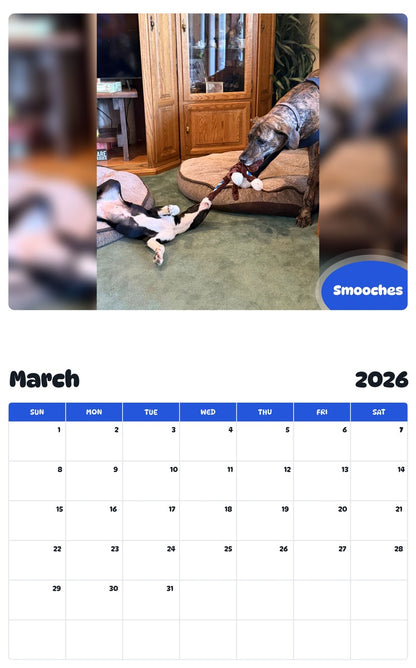 November 2025 - October 2026 Smooches - Pawidols Pet Calendar