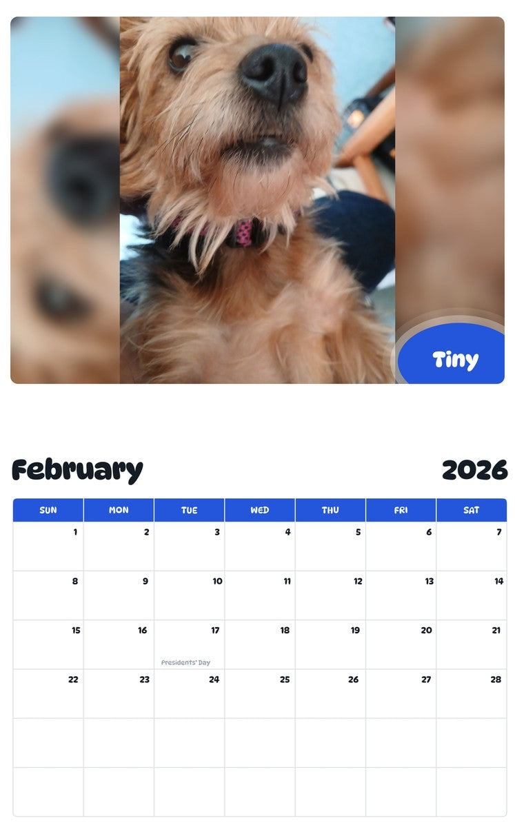 October 2025 - September 2026 Tiny - Pawidols Pet Calendar