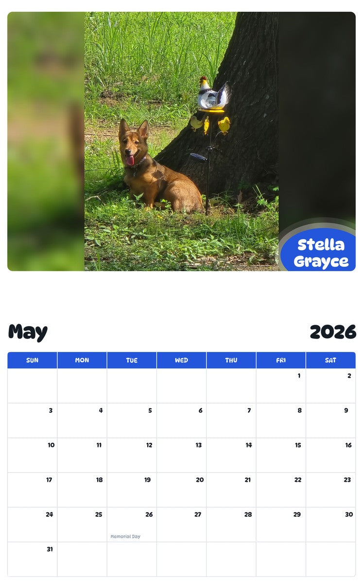 2026 - 2027 Stella Grayce - Pawidols Pet Calendar