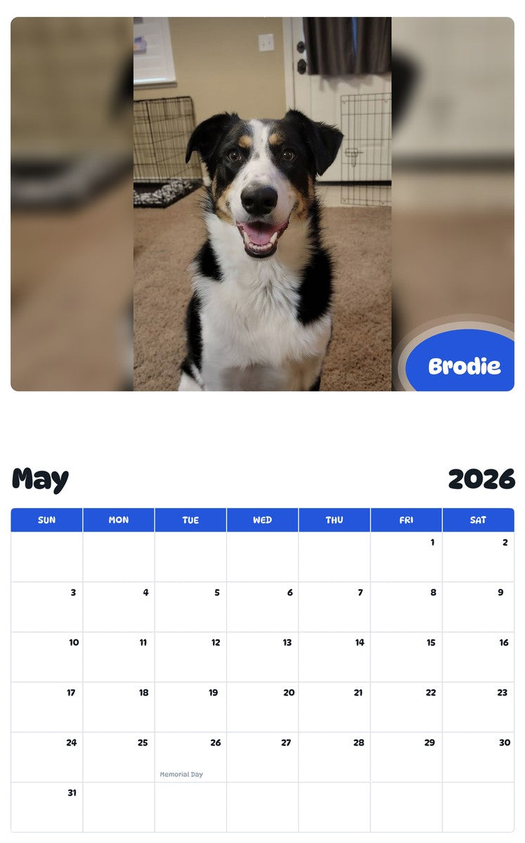 2026 - 2027 Brodie - Pawidols Pet Calendar