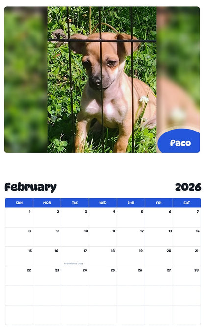 November 2025 - October 2026 Paco - Pawidols Pet Calendar