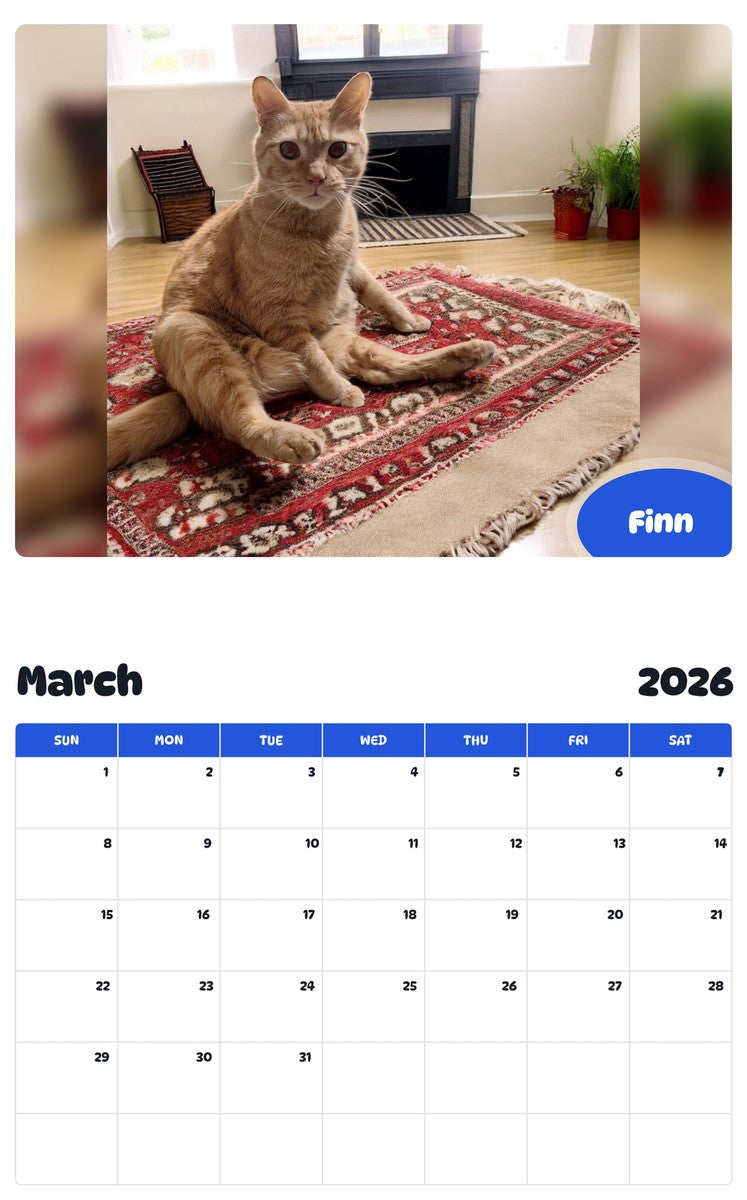 November 2025 - October 2026 Finn - Pawidols Pet Calendar