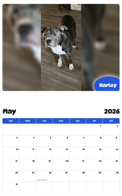 2026 - 2027 Harley - Pawidols Pet Calendar
