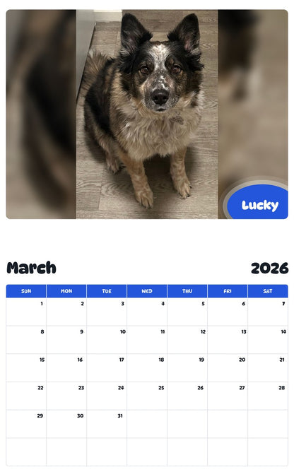 November 2025 - October 2026 Lucky - Pawidols Pet Calendar