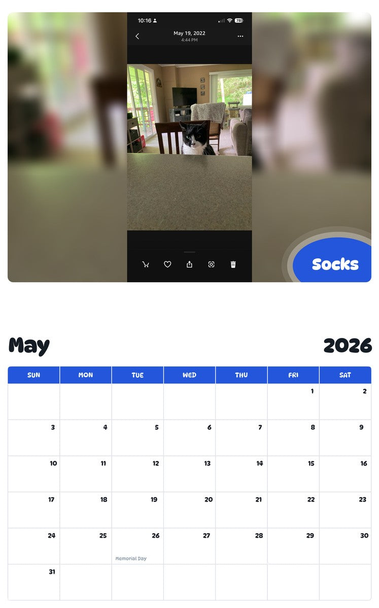 2026 - 2027 Socks - Pawidols Pet Calendar