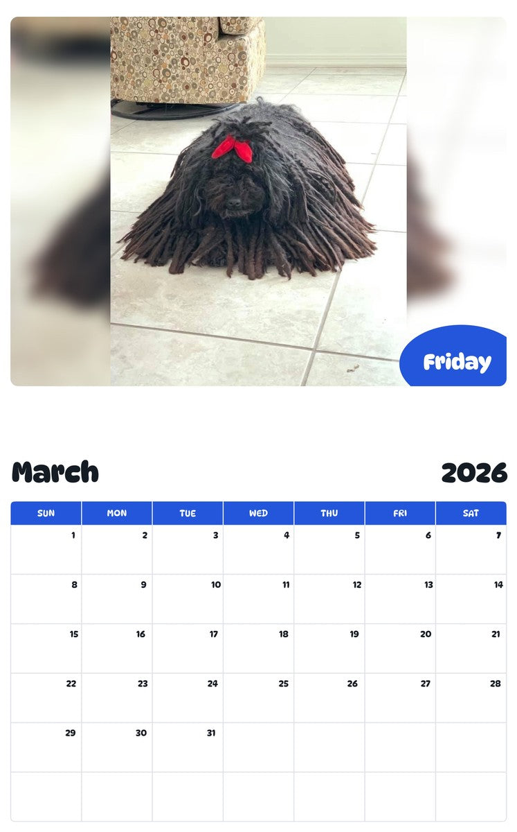 November 2025 - October 2026 Friday - Pawidols Pet Calendar