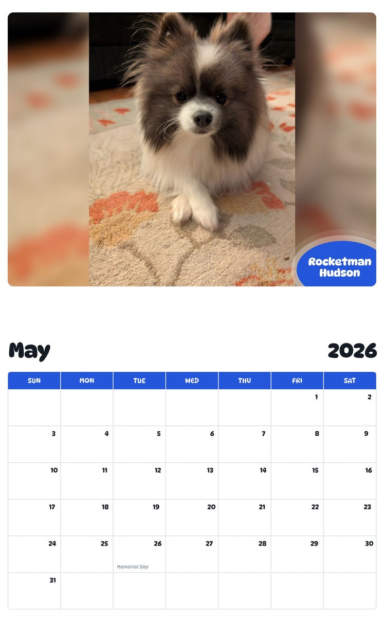 2026 - 2027 Rocketman Hudson - Pawidols Pet Calendar