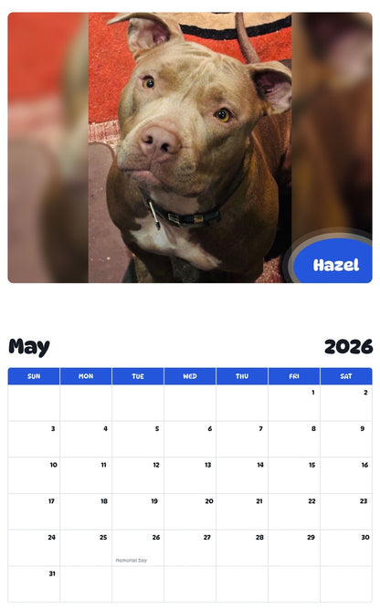 2026 - 2027 Hazel - Pawidols Pet Calendar