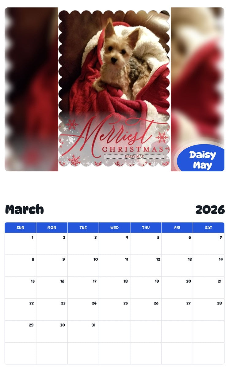 November 2025 - October 2026 Daisy May - Pawidols Pet Calendar