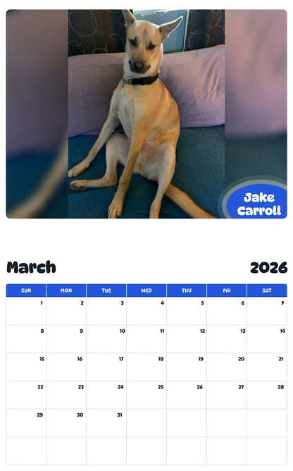 November 2025 - October 2026 Jake Carroll - Pawidols Pet Calendar