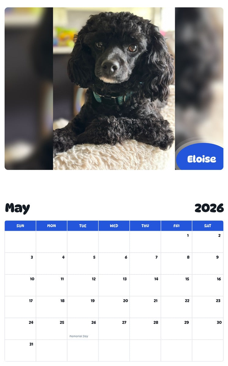 2026 - 2027 Eloise - Pawidols Pet Calendar
