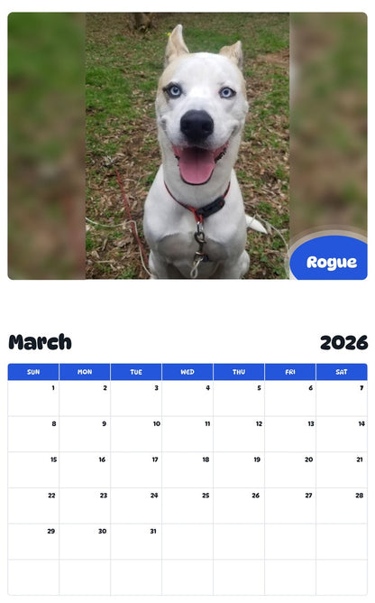 November 2025 - October 2026 Rogue - Pawidols Pet Calendar