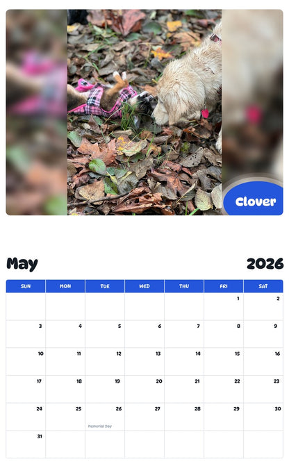 2026 - 2027 Clover - Pawidols Pet Calendar