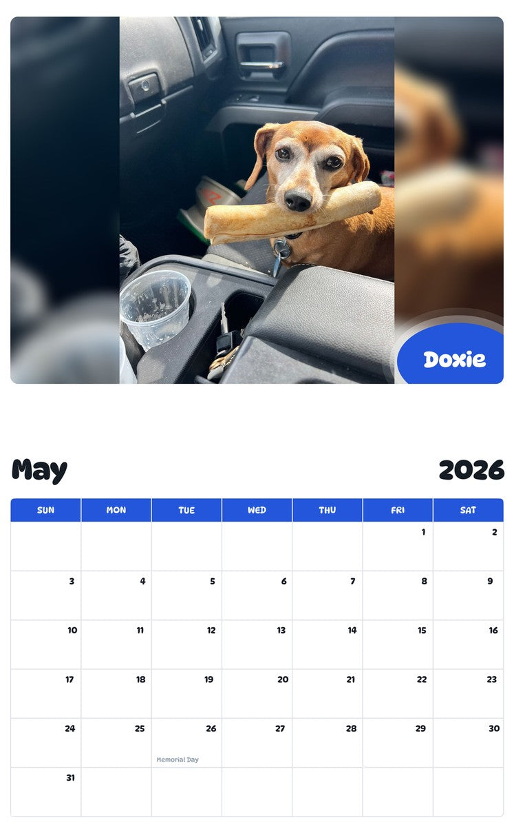 2026 - 2027 Doxie - Pawidols Pet Calendar