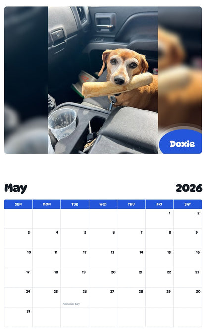 2026 - 2027 Doxie - Pawidols Pet Calendar