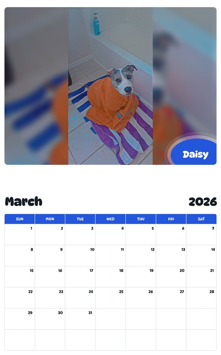 November 2025 - October 2026 Daisy - Pawidols Pet Calendar