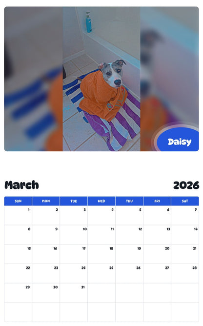 November 2025 - October 2026 Daisy - Pawidols Pet Calendar