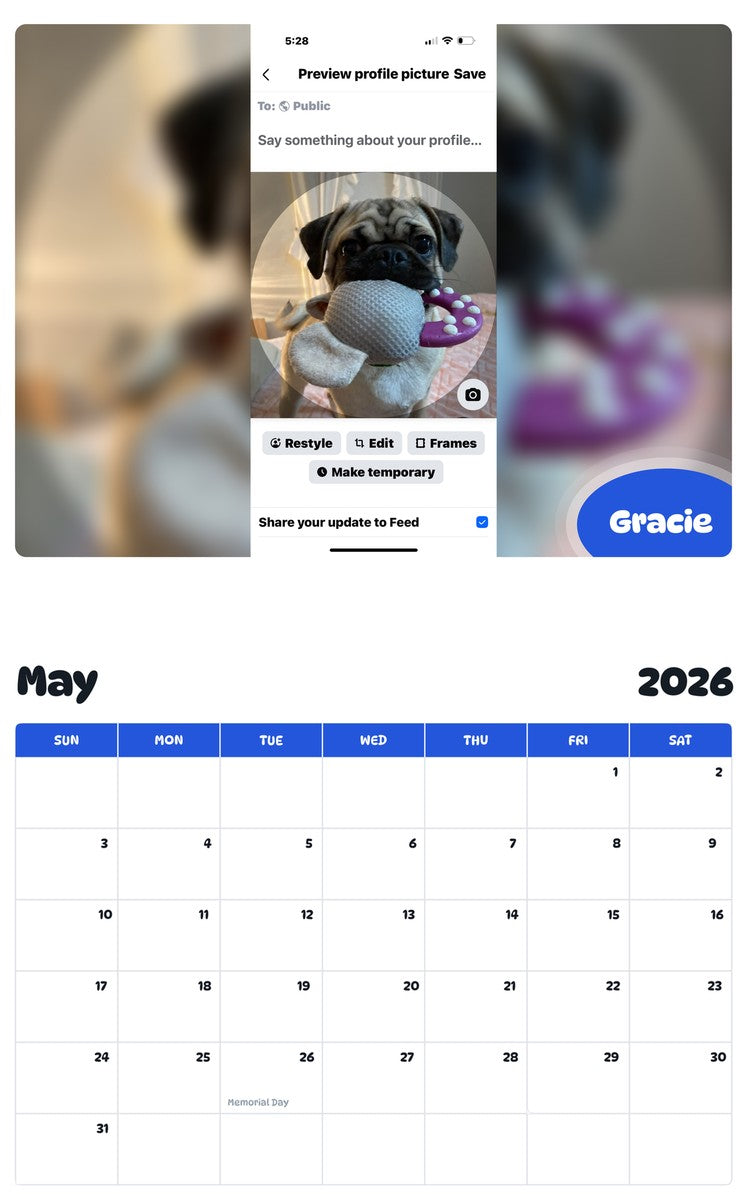 2026 - 2027 Gracie - Pawidols Pet Calendar