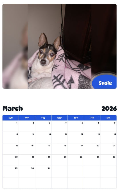 November 2025 - October 2026 Susie - Pawidols Pet Calendar