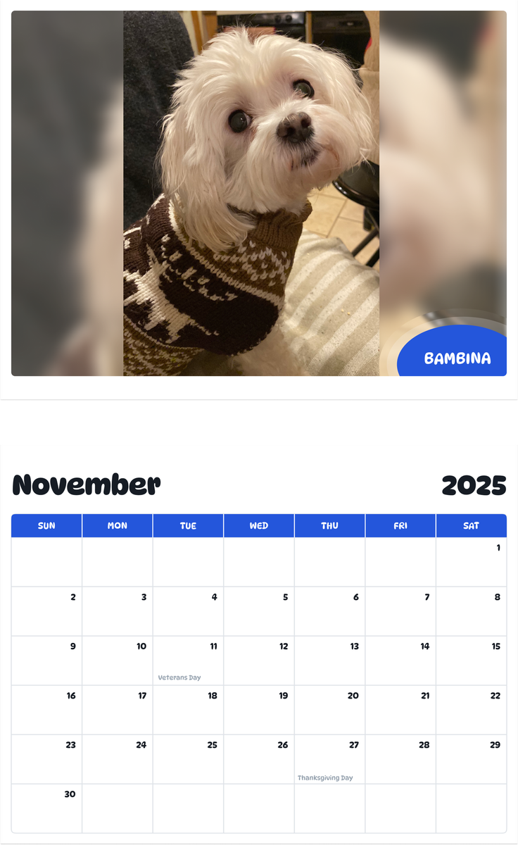 July 2025 - June 2026 Bambina - Pawidols Pet Calendar