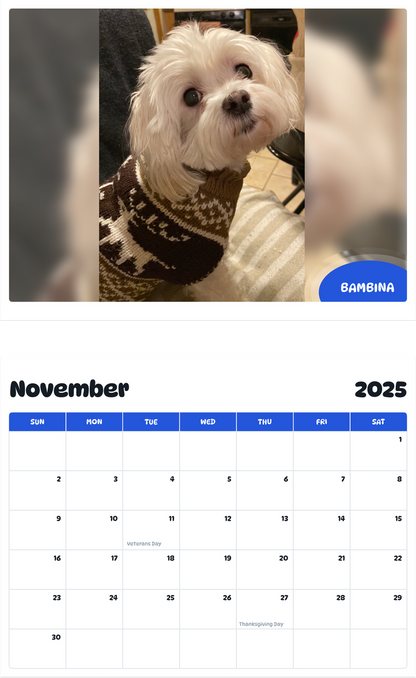 July 2025 - June 2026 Bambina - Pawidols Pet Calendar