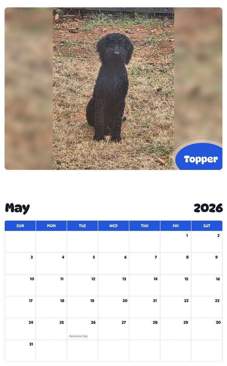 2026 - 2027 Topper - Pawidols Pet Calendar