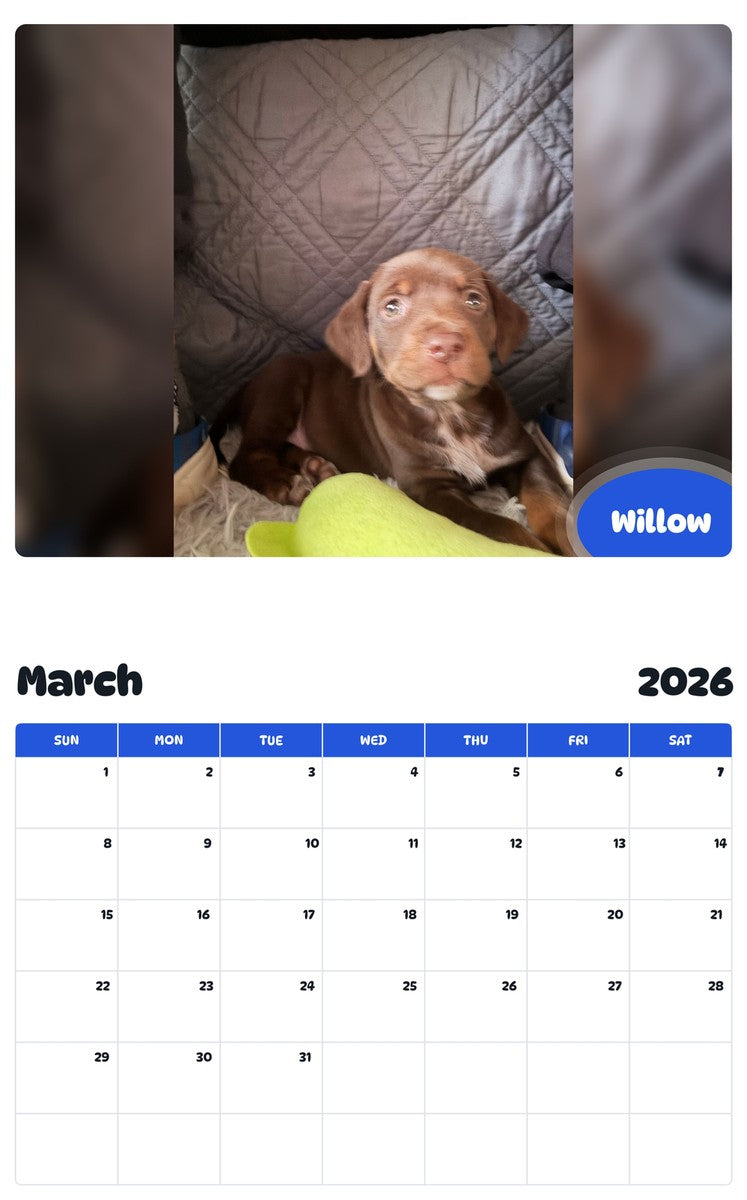 November 2025 - October 2026 Willow - Pawidols Pet Calendar