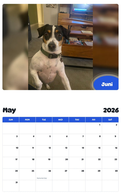 2026 - 2027 Juni - Pawidols Pet Calendar