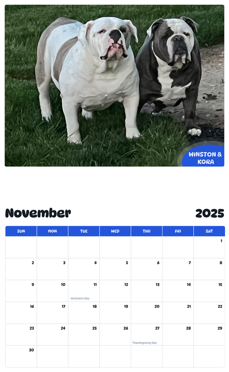 July 2025 - June 2026 Winston & Kora - Pawidols Pet Calendar