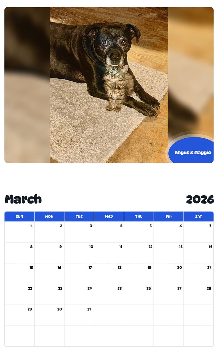November 2025 - October 2026 Angus & Maggie - Pawidols Pet Calendar