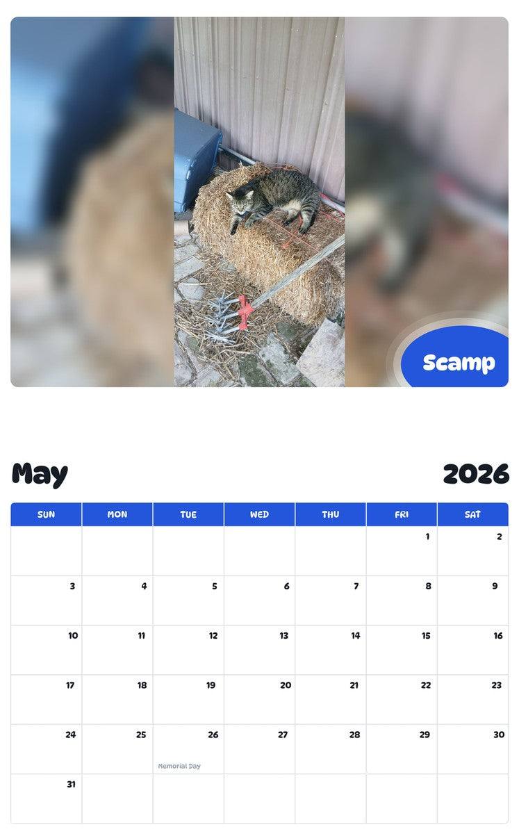 2026 - 2027 Scamp - Pawidols Pet Calendar