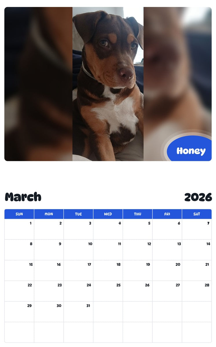 November 2025 - October 2026 Honey - Pawidols Pet Calendar