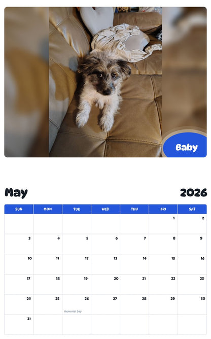 2026 - 2027 Baby - Pawidols Pet Calendar