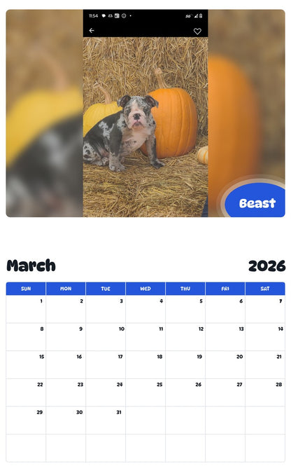 November 2025 - October 2026 Beast - Pawidols Pet Calendar