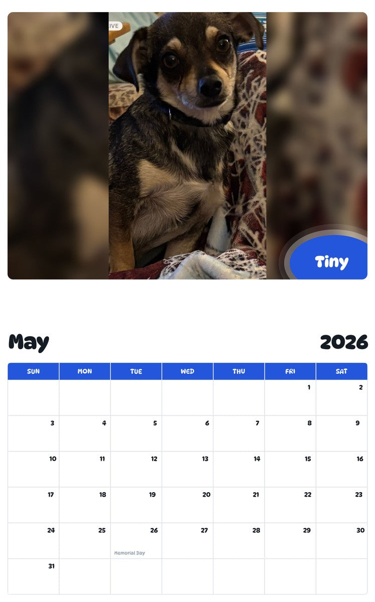 2026 - 2027 Tiny - Pawidols Pet Calendar