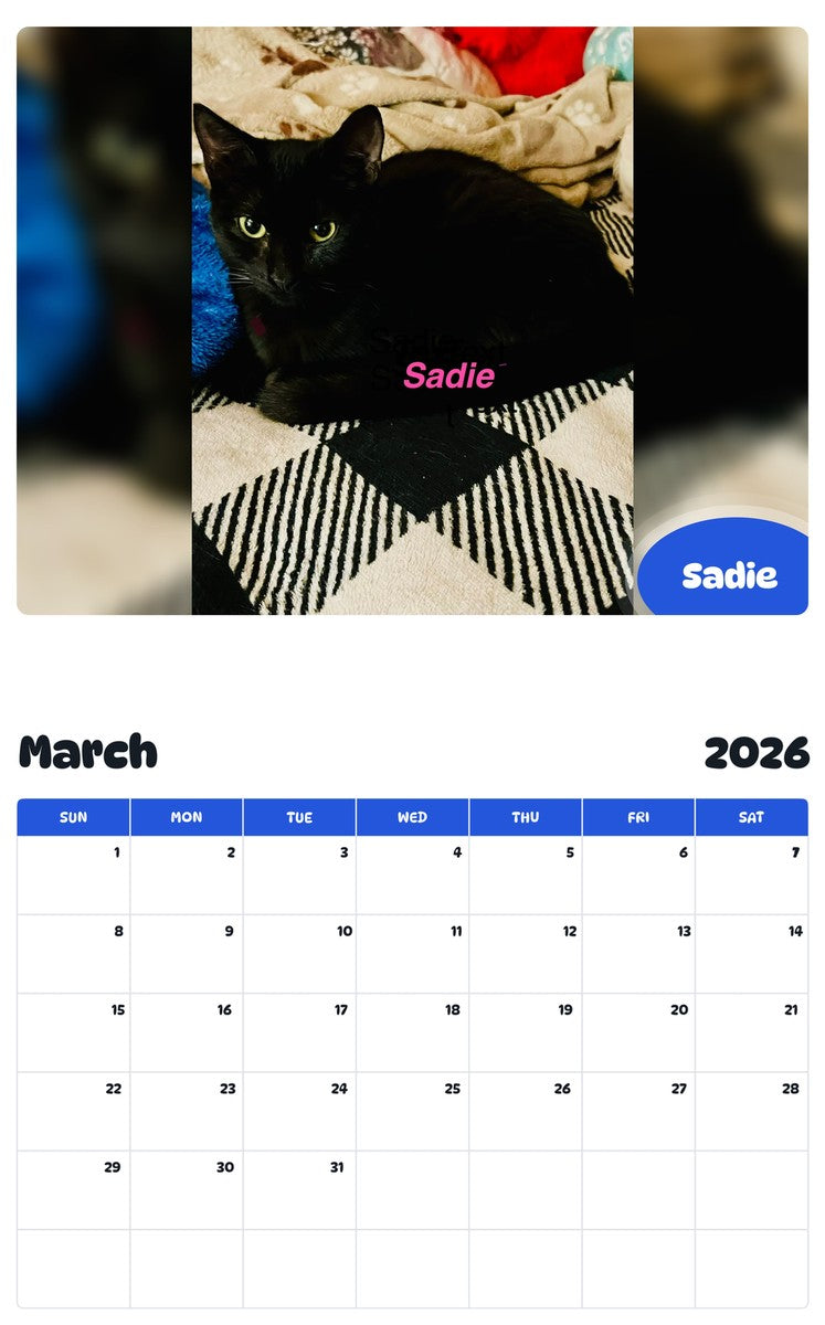 November 2025 - October 2026 Sadie - Pawidols Pet Calendar