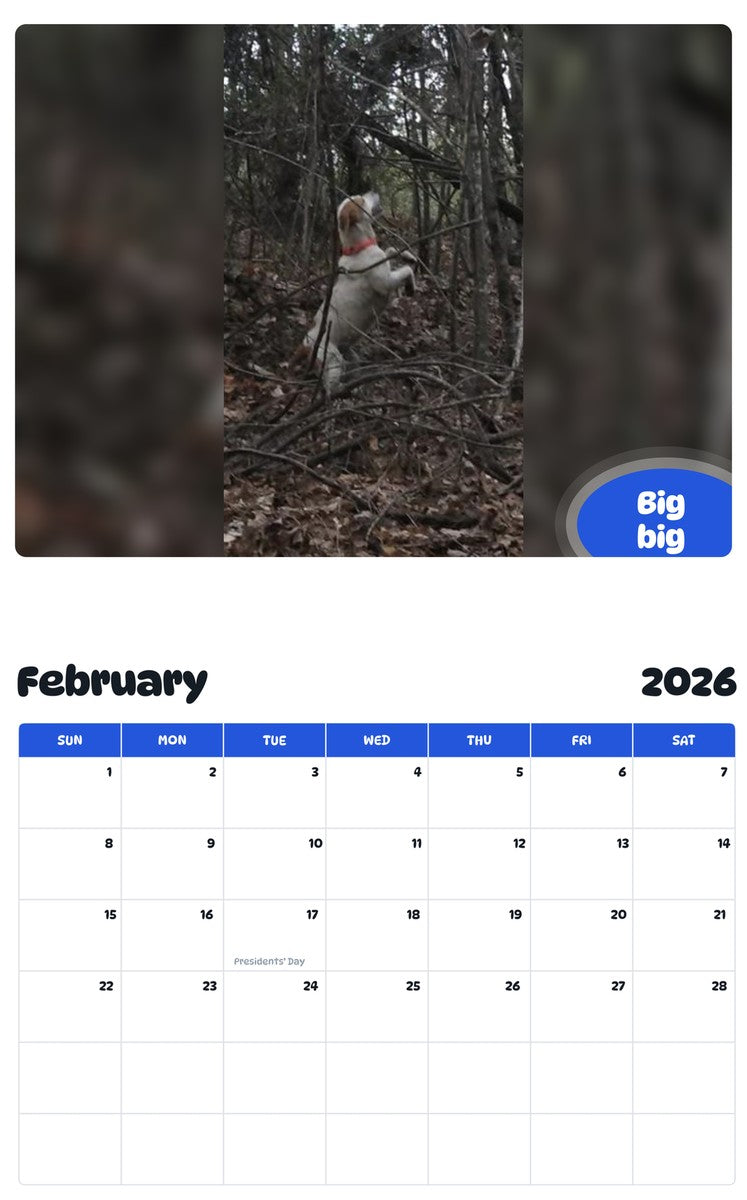 November 2025 - October 2026 Big big - Pawidols Pet Calendar
