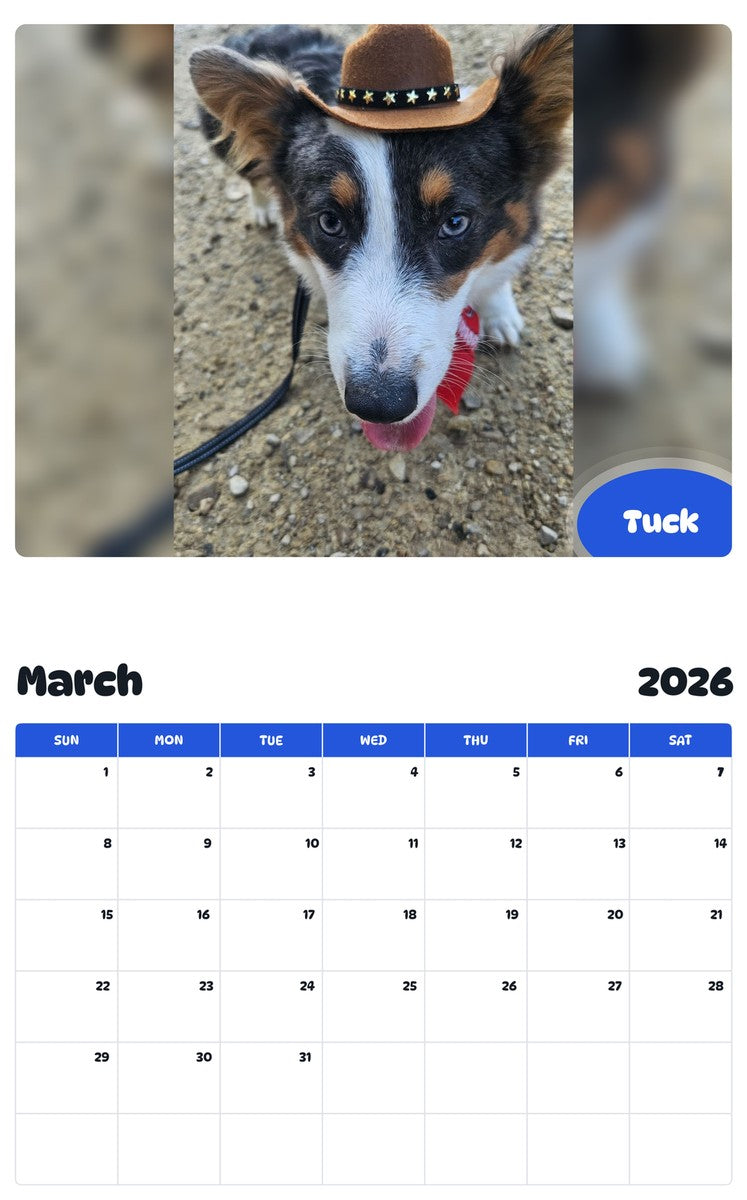 November 2025 - October 2026 Tuck - Pawidols Pet Calendar