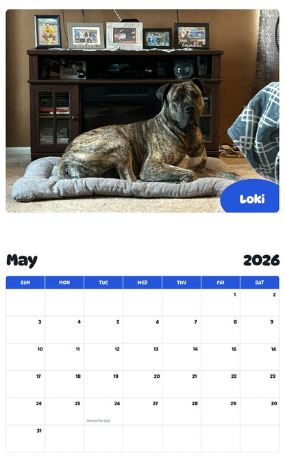 2026 - 2027 Loki - Pawidols Pet Calendar