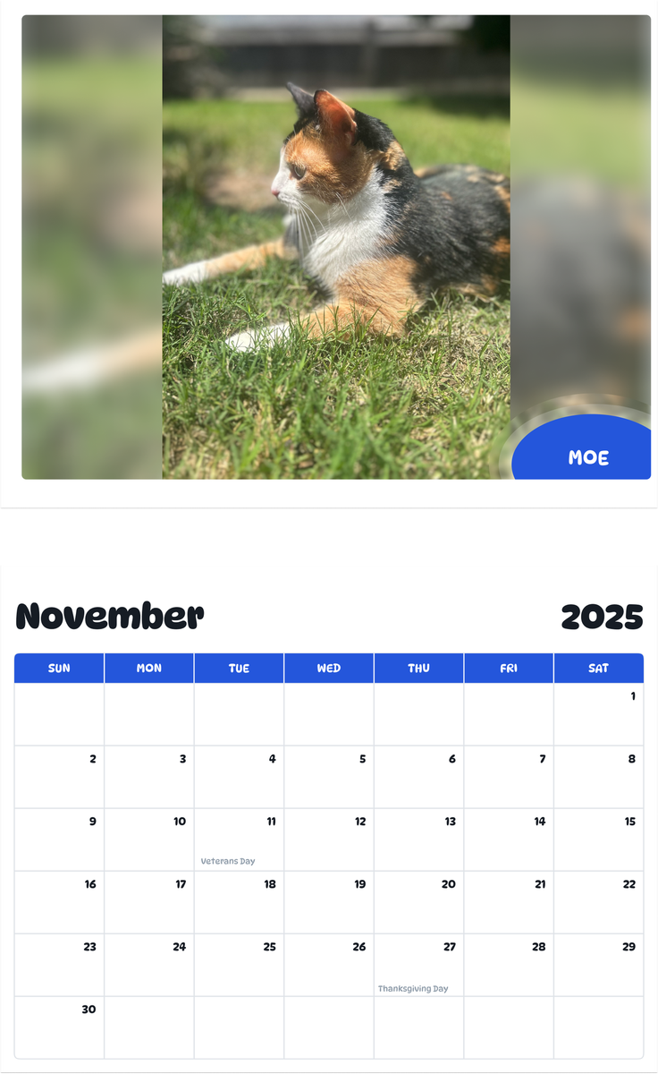 July 2025 - June 2026 moe - Pawidols Pet Calendar
