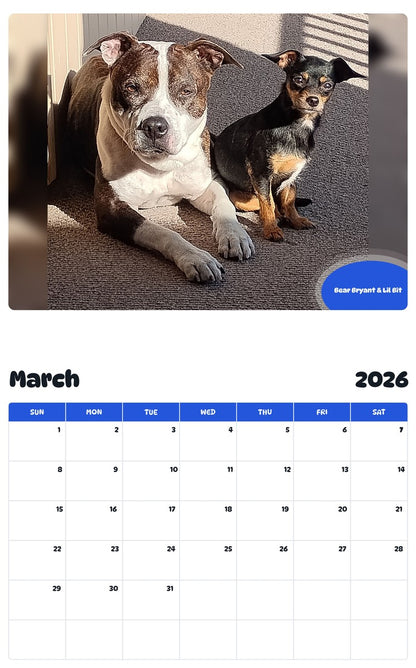 November 2025 - October 2026 Bear Bryant & Lil Bit - Pawidols Pet Calendar