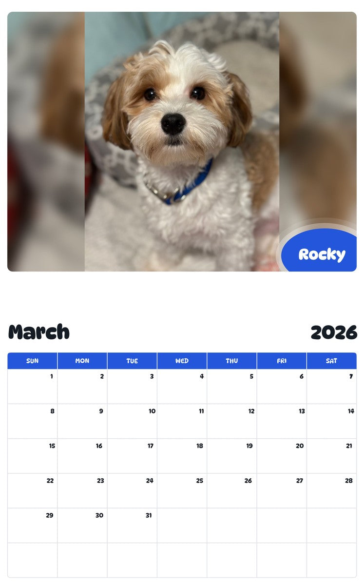 November 2025 - October 2026 Rocky - Pawidols Pet Calendar